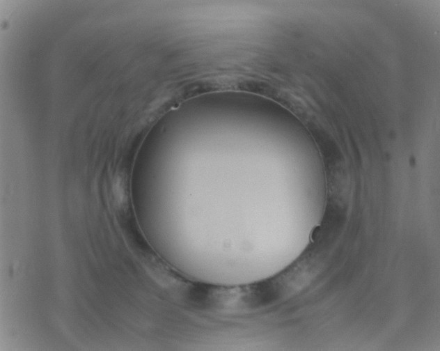 X0000074330131200609082042