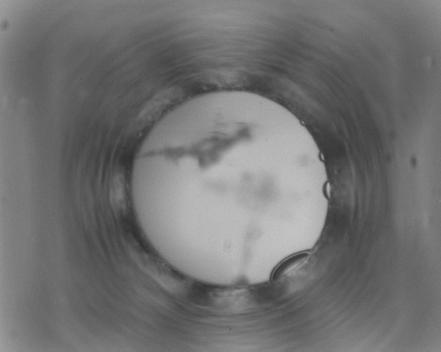 X0000074330132200609082042