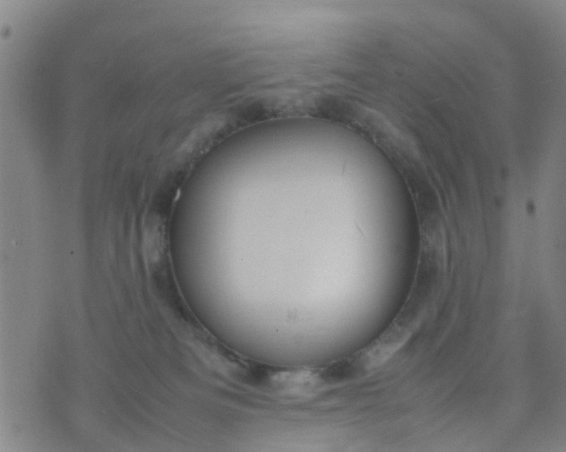 X0000074330133200609082042