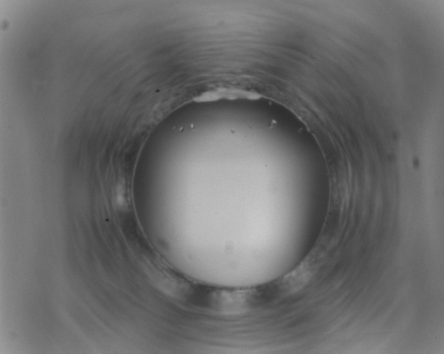 X0000074330134200609082041