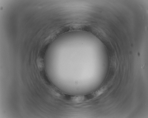 X0000074330135200609082041