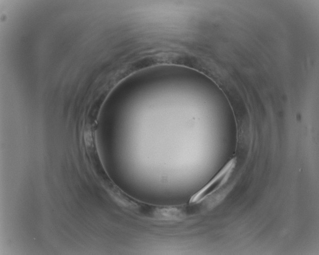 X0000074330137200609082041