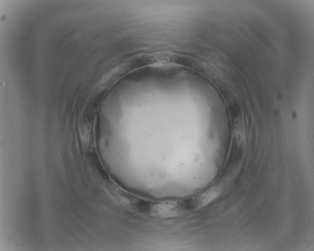 X0000074330139200609082041