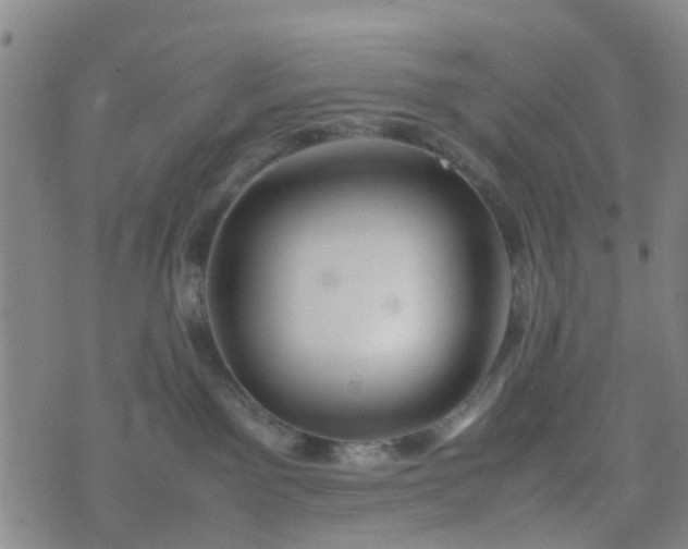 X0000074330141200609082041