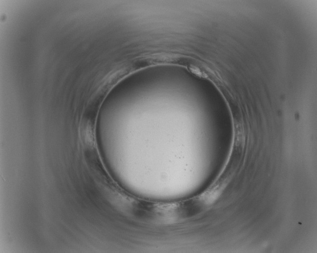 X0000074330143200609082041