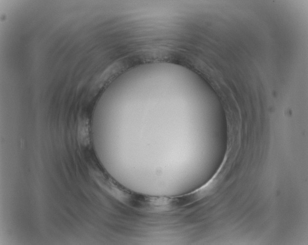 X0000074330144200609082041