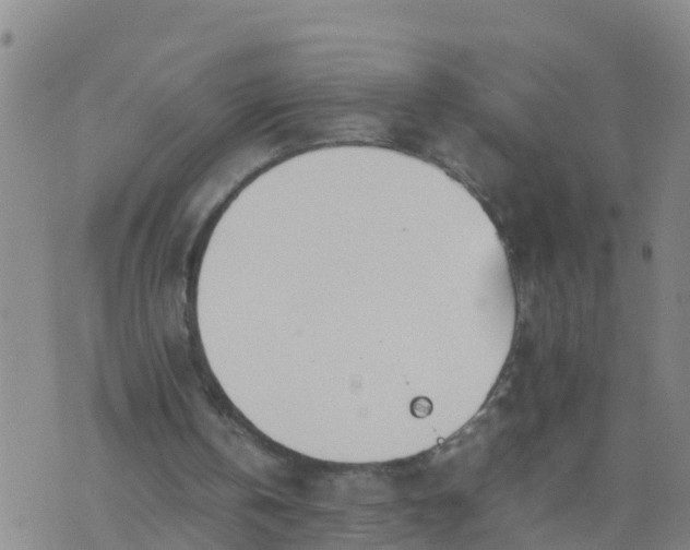 X0000074330146200609082041