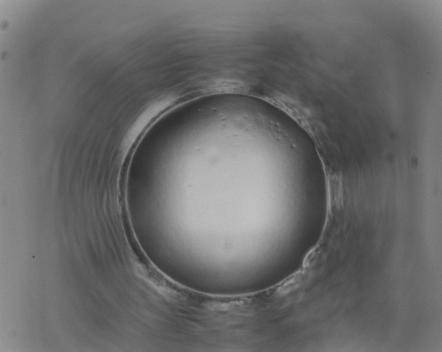 X0000074330147200609082041