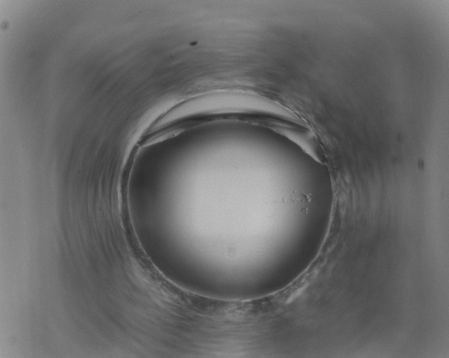 X0000074330148200609082041