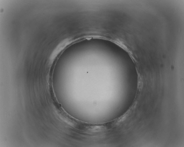 X0000074330151200609082041