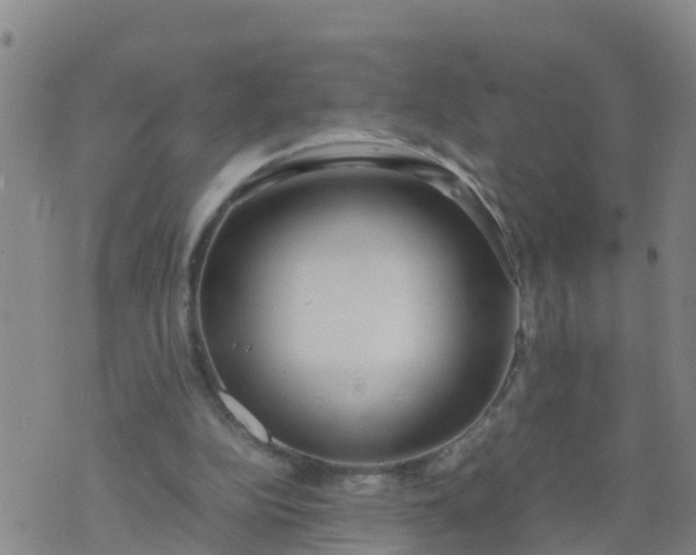 X0000074330152200609082041