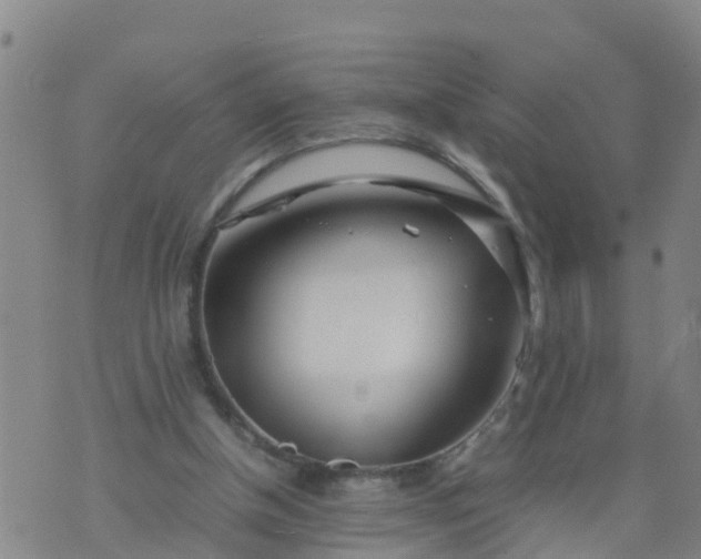 X0000074330154200609082041