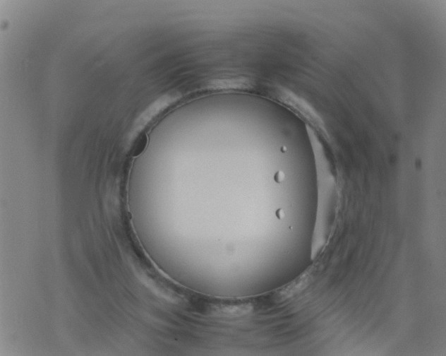 X0000074330155200609082041