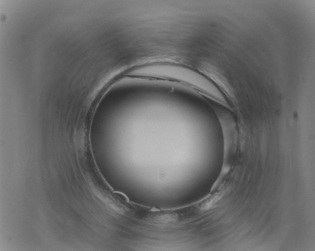 X0000074330156200609082041