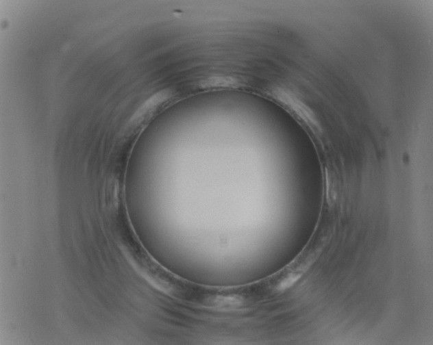 X0000074330157200609082041