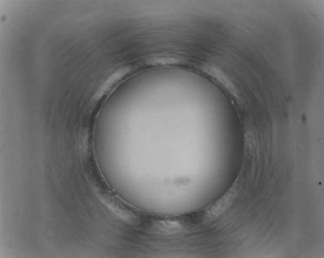 X0000074330159200609082041