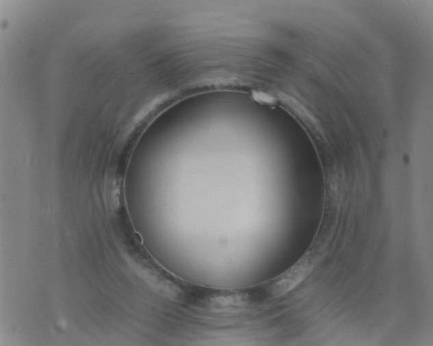 X0000074330160200609082041