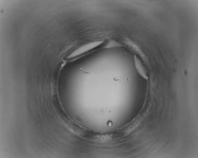 X0000074330161200609082041