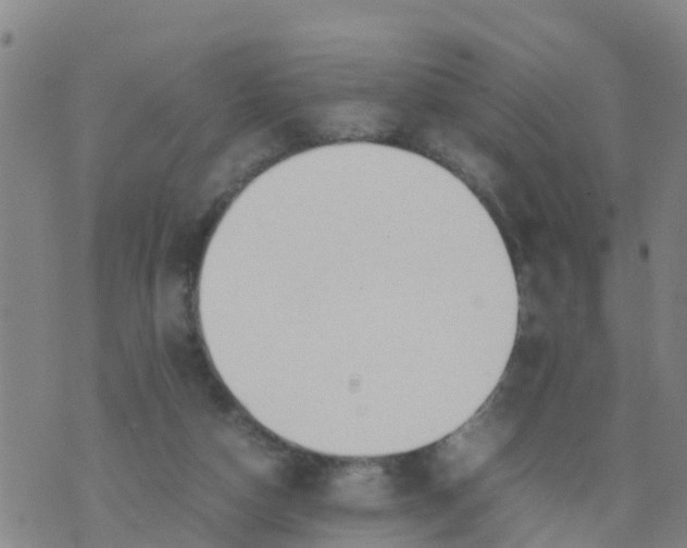 X0000074330162200609082041