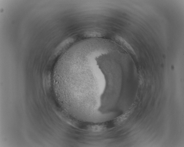 X0000074330163200609082041