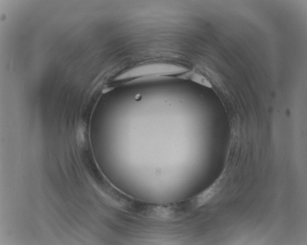 X0000074330166200609082041