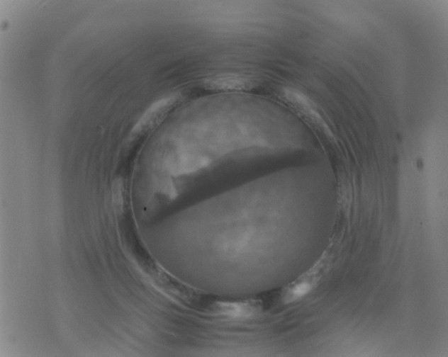 X0000074330167200609082041