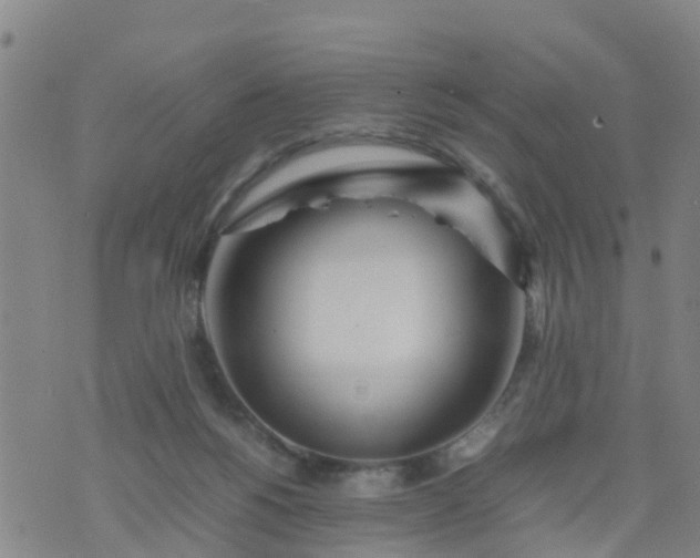 X0000074330168200609082041