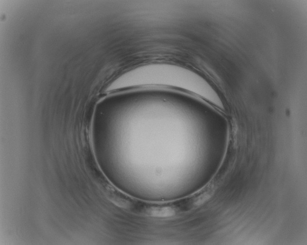 X0000074330169200609082041