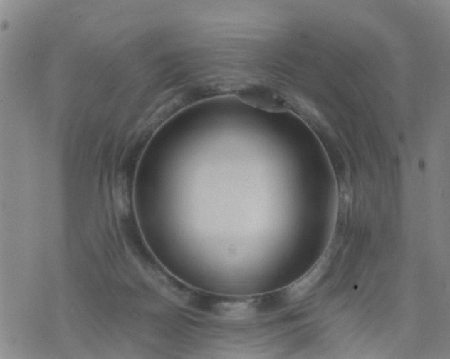 X0000074330170200609082041