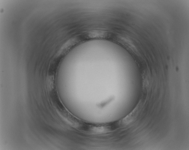 X0000074330171200609082041