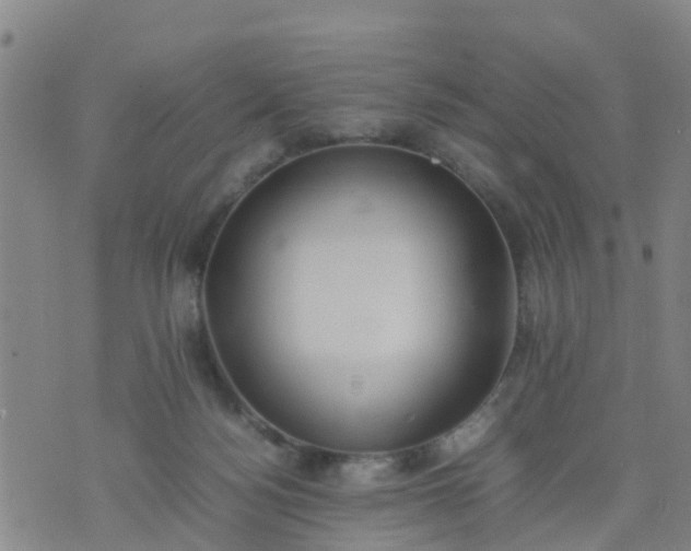 X0000074330172200609082041