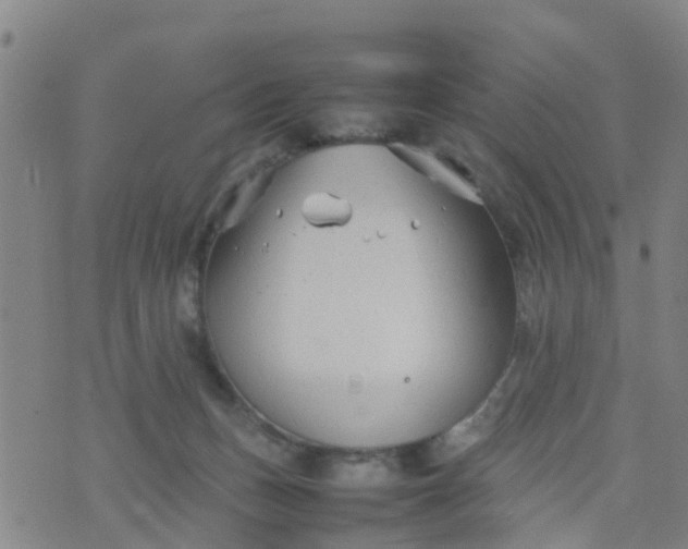 X0000074330175200609082041