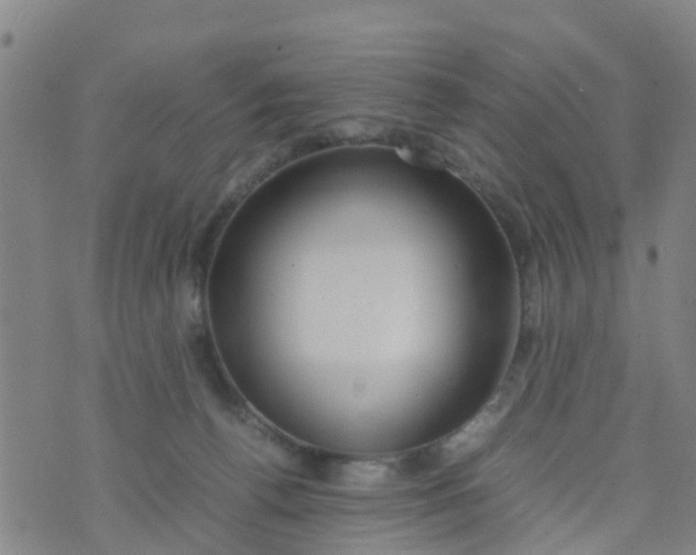 X0000074330176200609082041