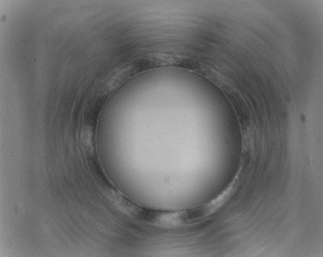 X0000074330178200609082041