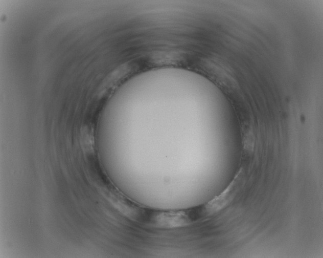 X0000074330179200609082041