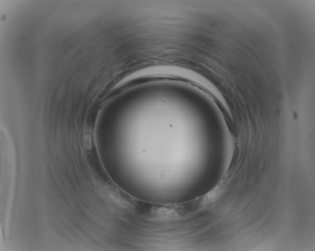 X0000074330180200609082041