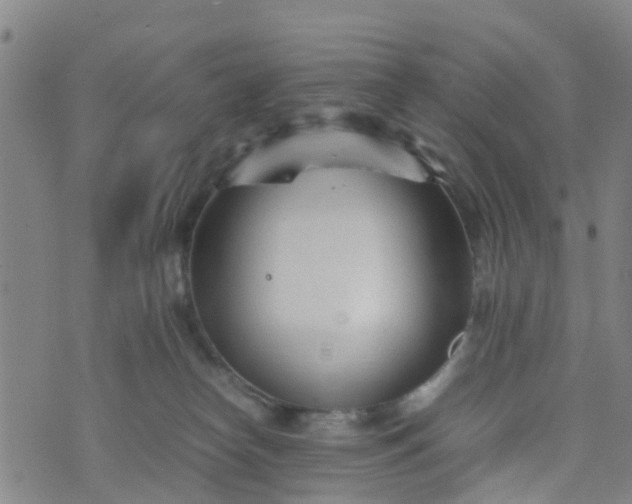 X0000074330182200609082041