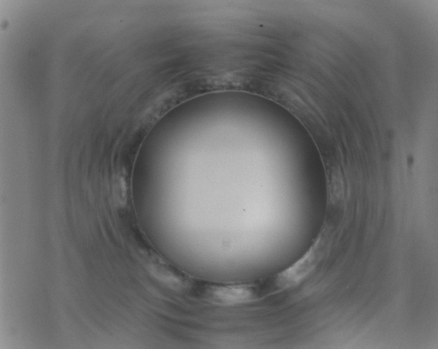 X0000074330183200609082041