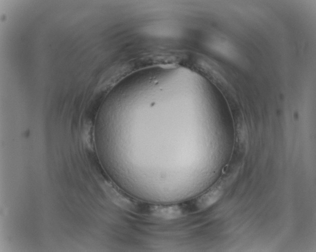 X0000074330185200609082041