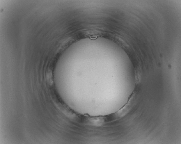 X0000074330187200609082041