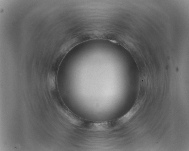 X0000074330188200609082041