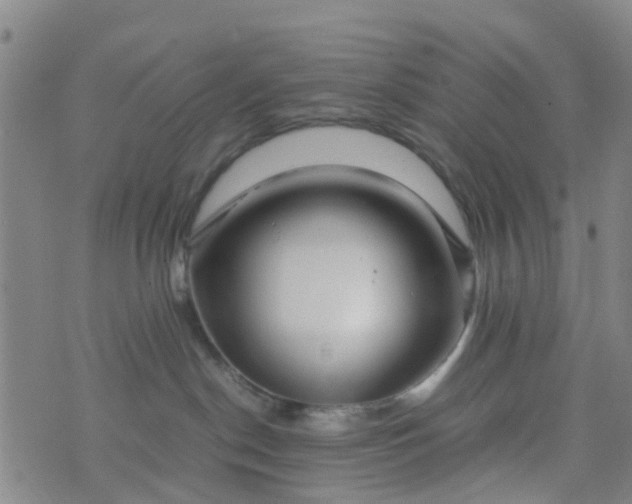 X0000074330190200609082041