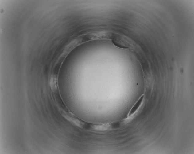 X0000074330191200609082041