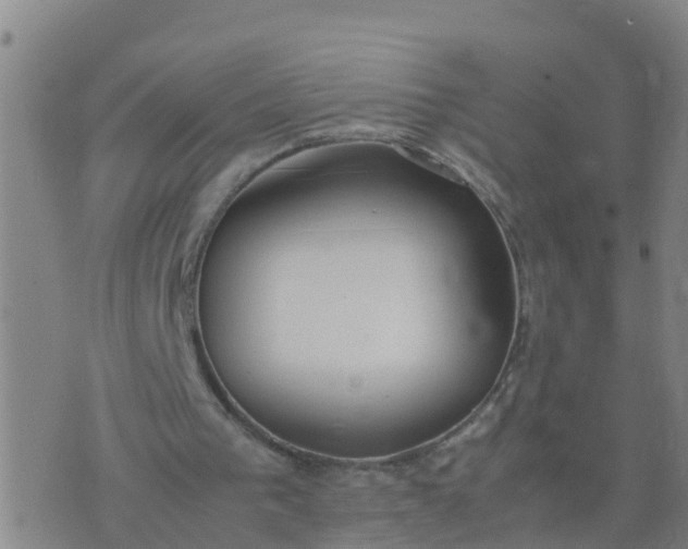 X0000074330193200609082041