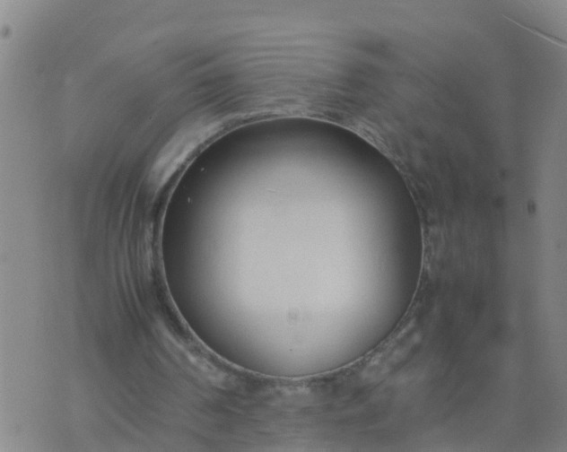 X0000074330194200609082041