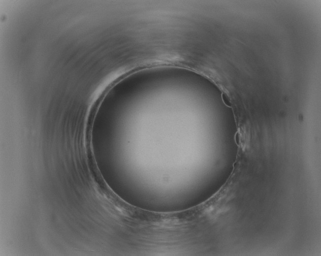 X0000074330196200609082040