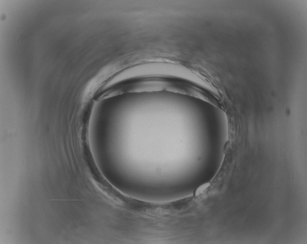 X0000074330197200609082040