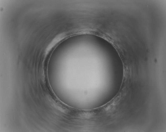 X0000074330198200609082040