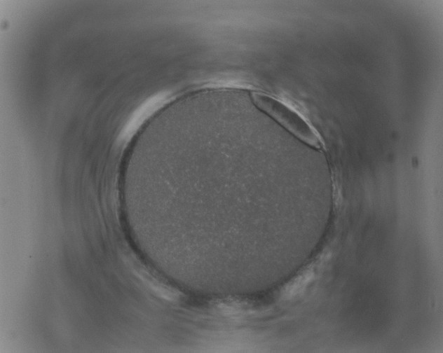 X0000074330199200609082040