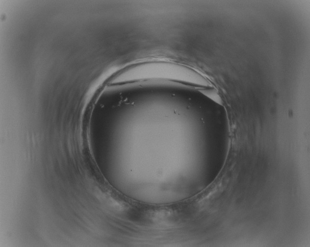 X0000074330200200609082040